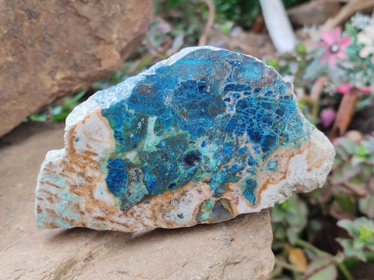 Polished One Side Shattuckite Slices x 6 From Kaokoveld, Namibia - Toprock Gemstones and Minerals 