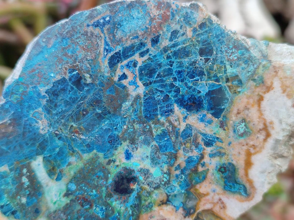 Polished One Side Shattuckite Slices x 6 From Kaokoveld, Namibia - Toprock Gemstones and Minerals 