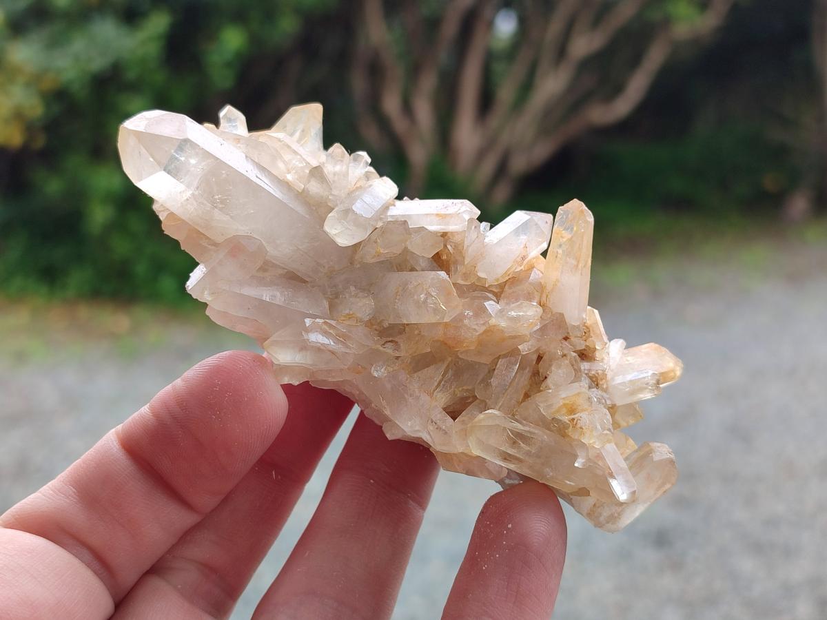 Natural Mixed Quartz Clusters x 27 From Madagascar - Toprock Gemstones and Minerals 