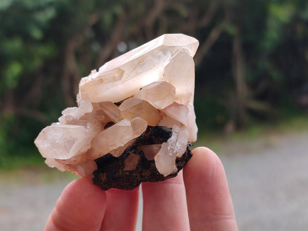 Natural Mixed Quartz Clusters x 27 From Madagascar - Toprock Gemstones and Minerals 
