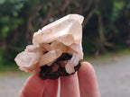 Natural Mixed Quartz Clusters x 27 From Madagascar - Toprock Gemstones and Minerals 