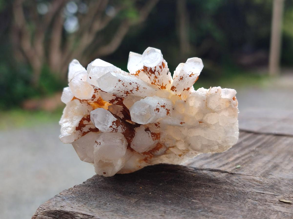 Natural Mixed Quartz Clusters x 27 From Madagascar - Toprock Gemstones and Minerals 
