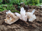 Natural Mixed Quartz Clusters x 27 From Madagascar - Toprock Gemstones and Minerals 