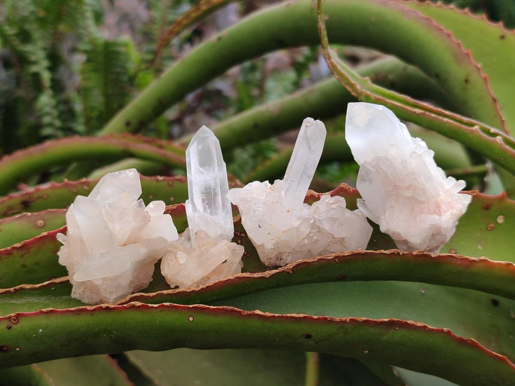 Natural Mixed Quartz Clusters x 27 From Madagascar - Toprock Gemstones and Minerals 