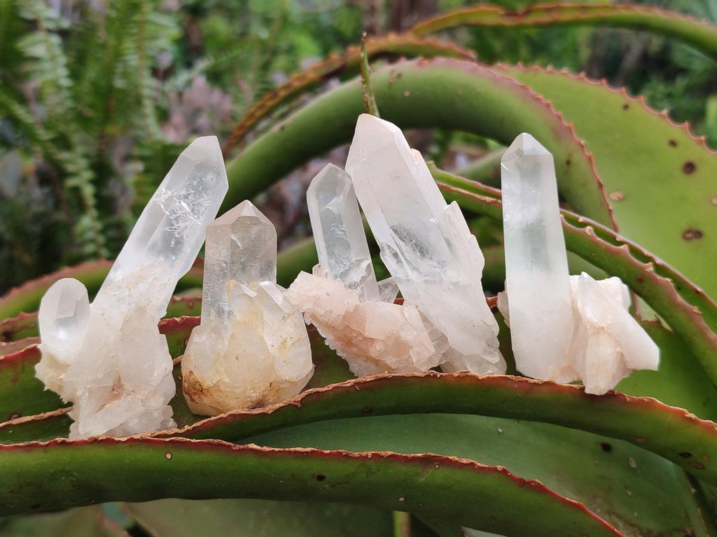 Natural Mixed Quartz Clusters x 27 From Madagascar - Toprock Gemstones and Minerals 