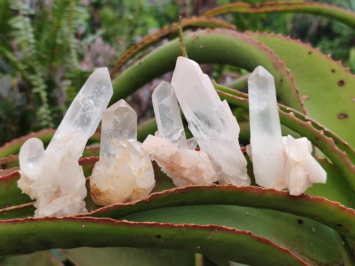 Natural Mixed Quartz Clusters x 27 From Madagascar - Toprock Gemstones and Minerals 