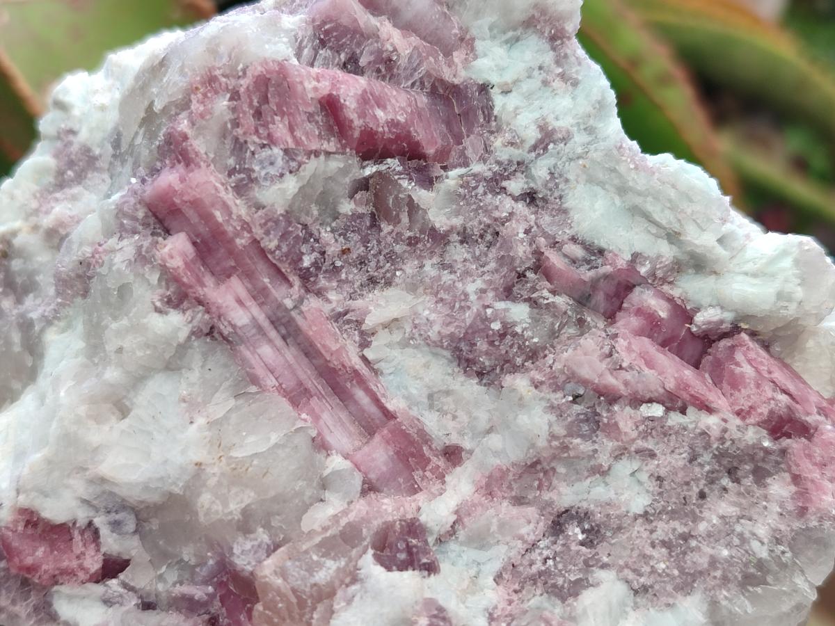 Natural Pink Rubellite Tourmaline Specimens x 2 From Karibib, Namibia - Toprock Gemstones and Minerals 