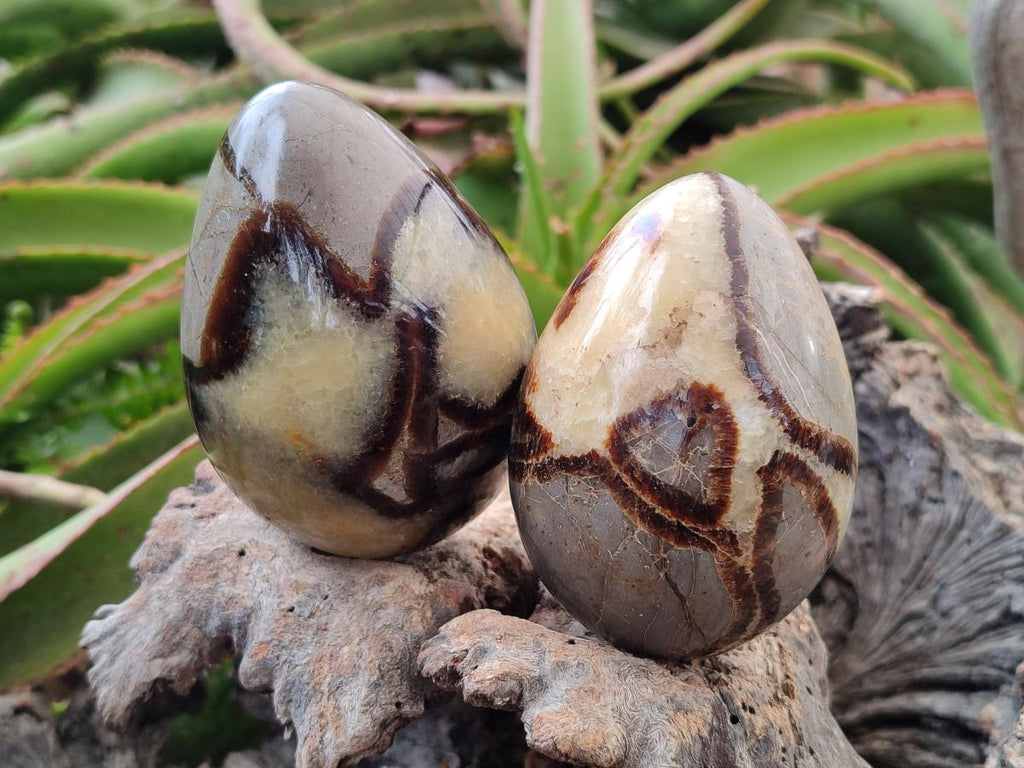 Polished Septerye Eggs x 3 From Mahajanga, Madagascar - Toprock Gemstones and Minerals 