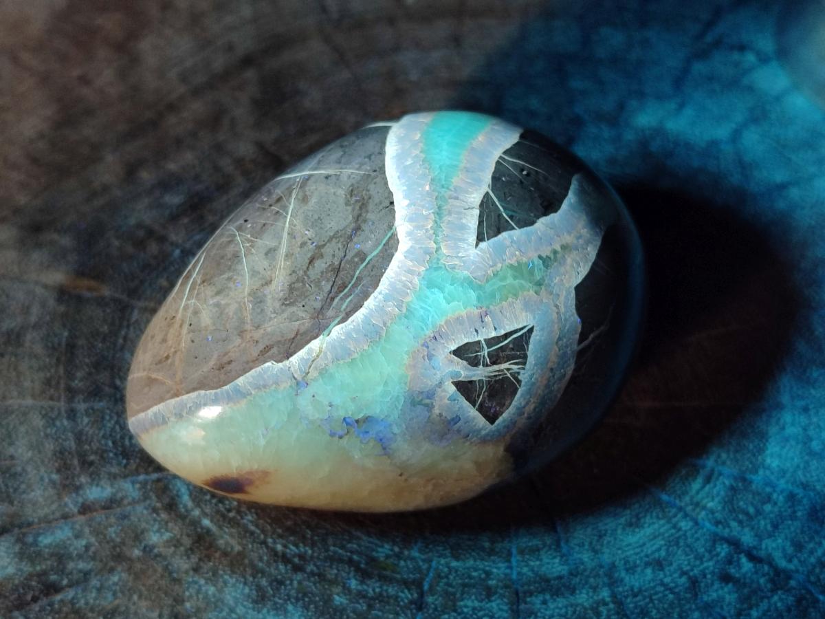 Polished Septerye Eggs x 3 From Mahajanga, Madagascar - Toprock Gemstones and Minerals 