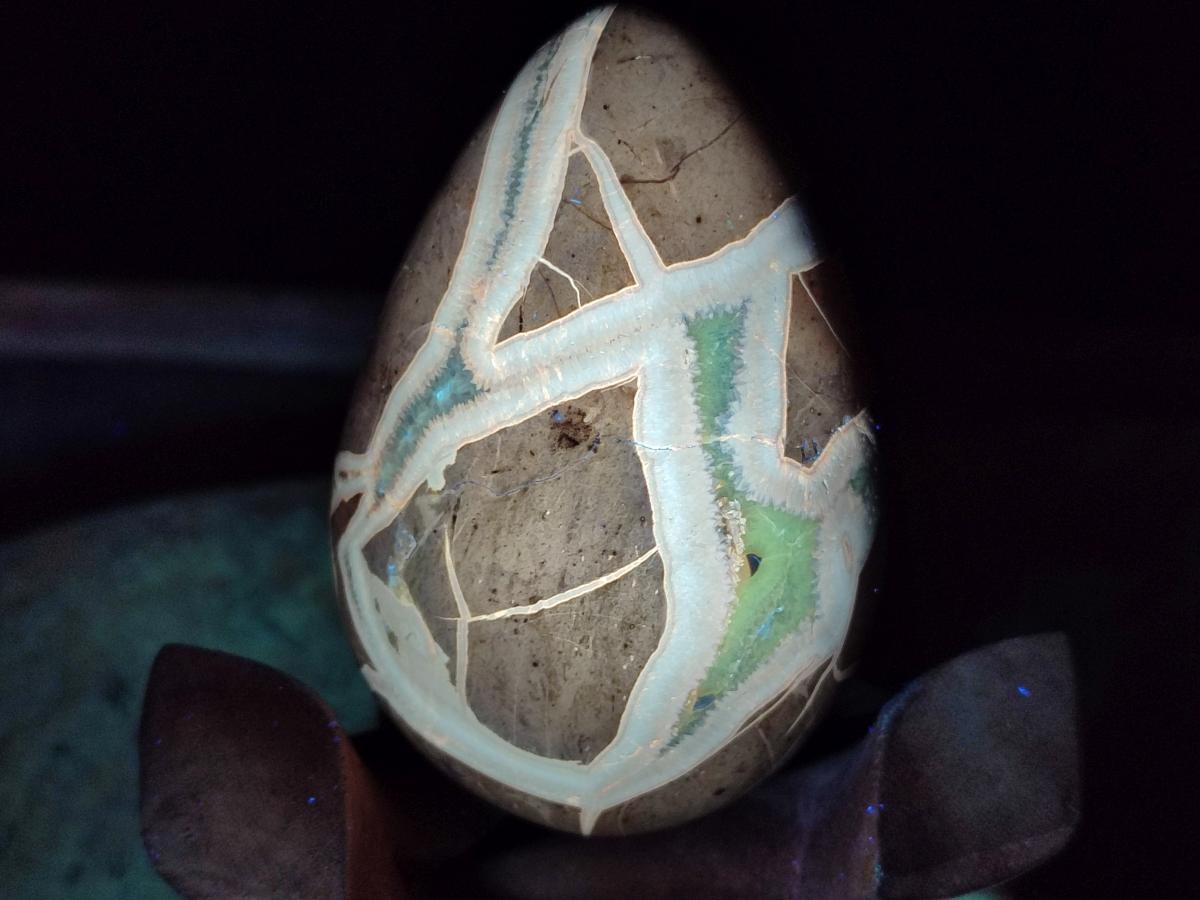 Polished Septerye Eggs x 3 From Mahajanga, Madagascar - Toprock Gemstones and Minerals 