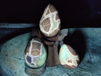 Polished Septerye Eggs x 3 From Mahajanga, Madagascar - Toprock Gemstones and Minerals 