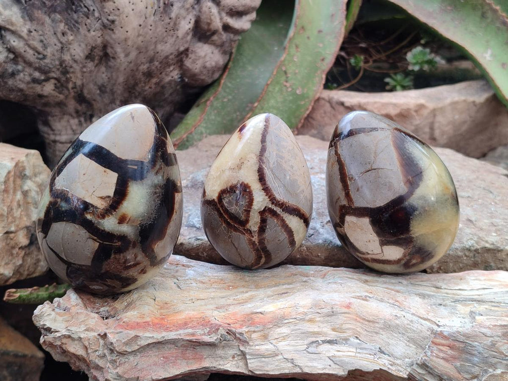 Polished Septerye Eggs x 3 From Mahajanga, Madagascar - Toprock Gemstones and Minerals 