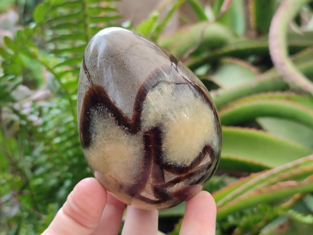 Polished Septerye Eggs x 3 From Mahajanga, Madagascar - Toprock Gemstones and Minerals 