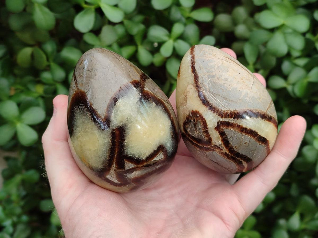 Polished Septerye Eggs x 3 From Mahajanga, Madagascar - Toprock Gemstones and Minerals 