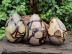 Polished Septerye Eggs x 3 From Mahajanga, Madagascar - Toprock Gemstones and Minerals 