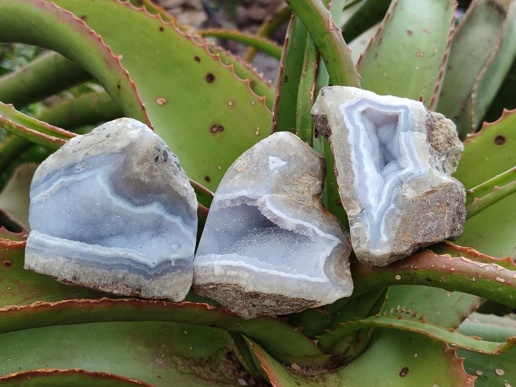 Polished On One Side Blue Lace Agate Geodes x 12 From Nsanje, Malawi - Toprock Gemstones and Minerals 