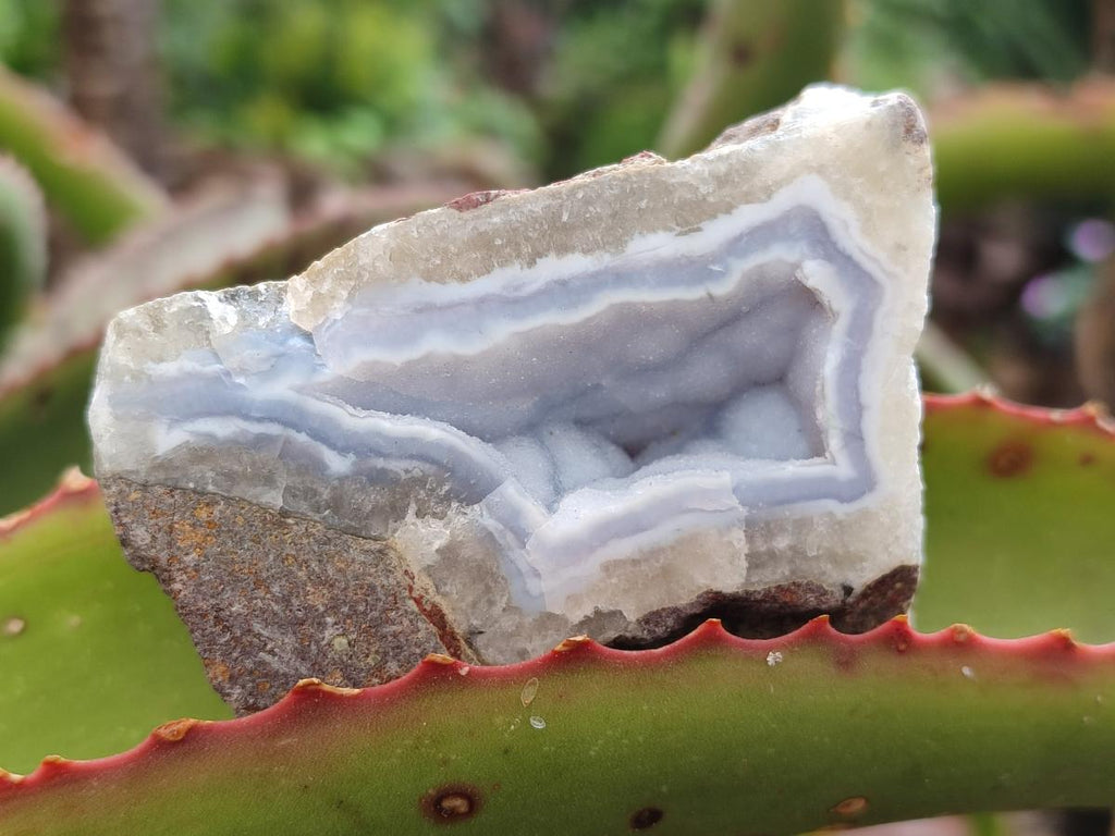 Polished On One Side Blue Lace Agate Geodes x 12 From Nsanje, Malawi - Toprock Gemstones and Minerals 