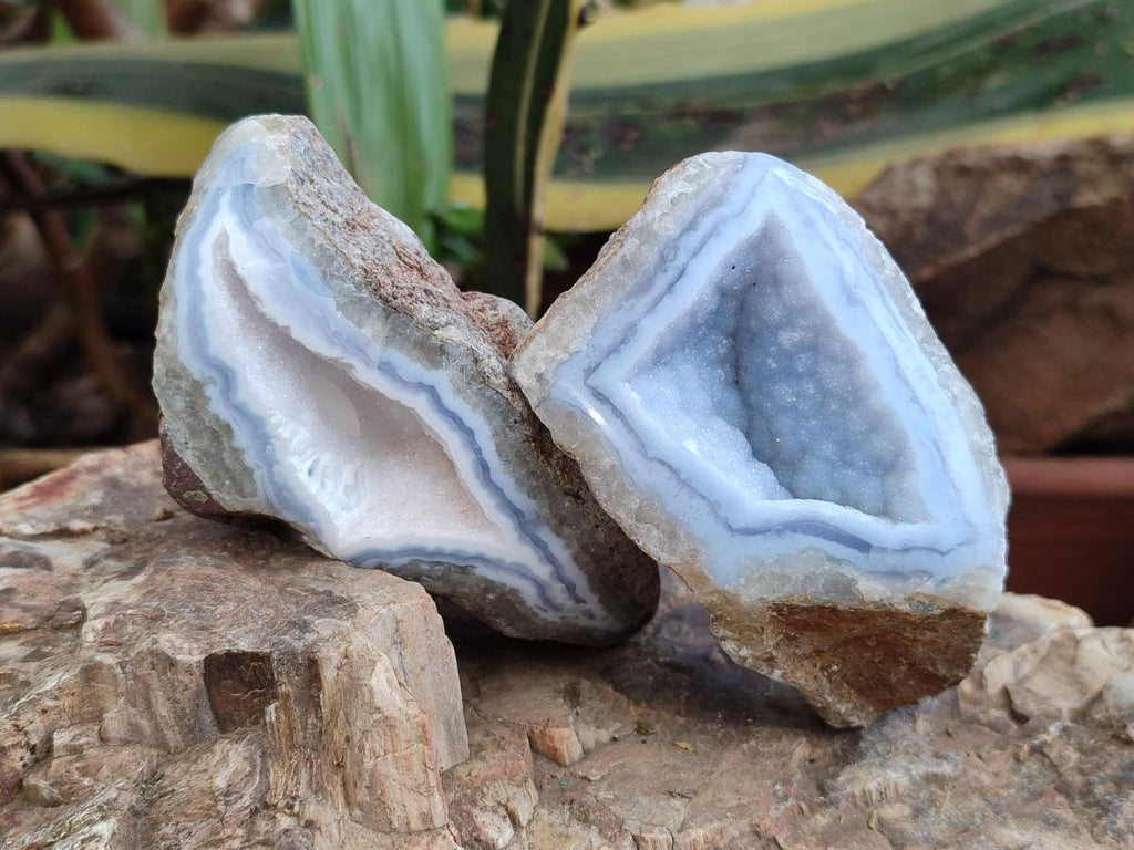 Polished On One Side Blue Lace Agate Geodes x 12 From Nsanje, Malawi - Toprock Gemstones and Minerals 