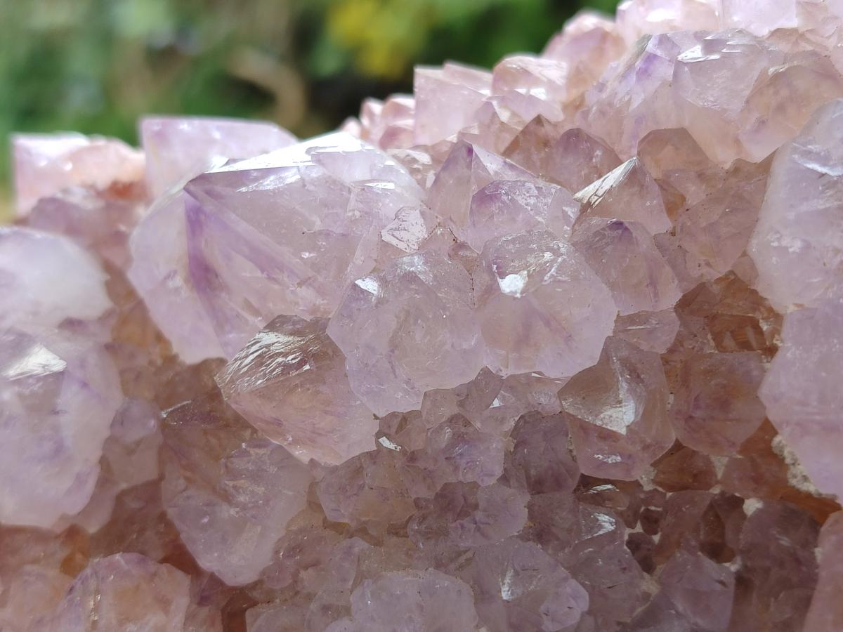 Natural XL Spirit Amethyst Crystal Cluster x 1 From Boekenhouthoek, South Africa - Toprock Gemstones and Minerals 