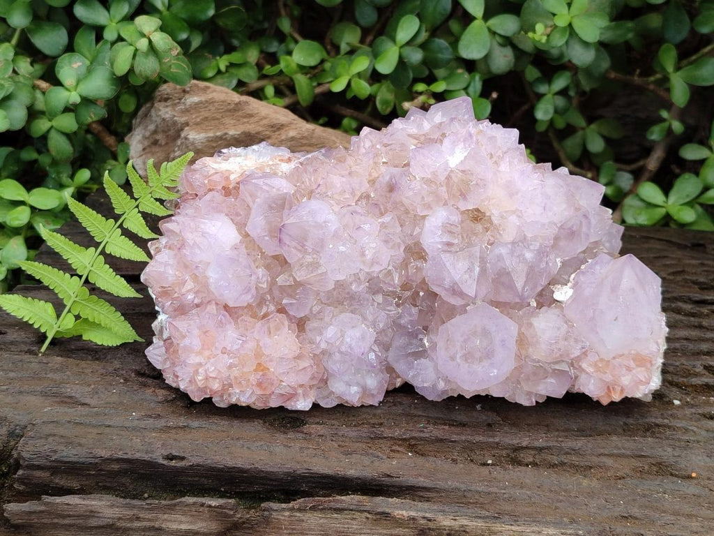 Natural XL Spirit Amethyst Crystal Cluster x 1 From Boekenhouthoek, South Africa - Toprock Gemstones and Minerals 