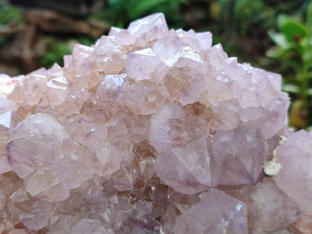 Natural XL Spirit Amethyst Crystal Cluster x 1 From Boekenhouthoek, South Africa - Toprock Gemstones and Minerals 