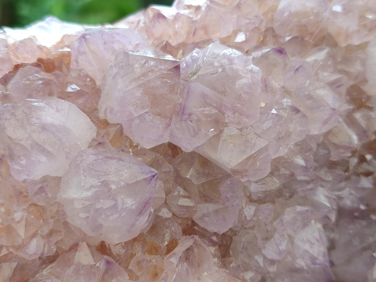 Natural XL Spirit Amethyst Crystal Cluster x 1 From Boekenhouthoek, South Africa - Toprock Gemstones and Minerals 