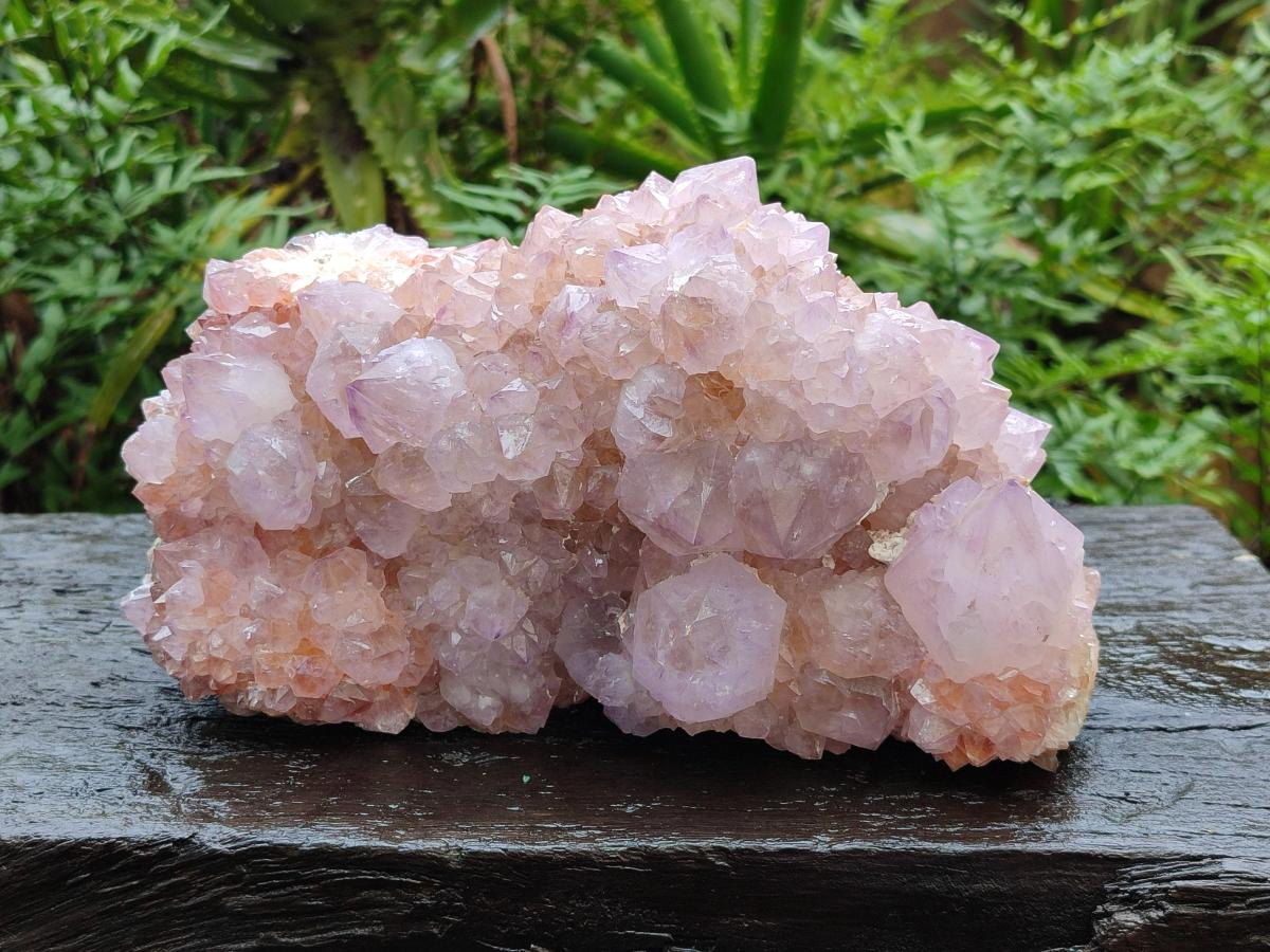 Natural XL Spirit Amethyst Crystal Cluster x 1 From Boekenhouthoek, South Africa - Toprock Gemstones and Minerals 