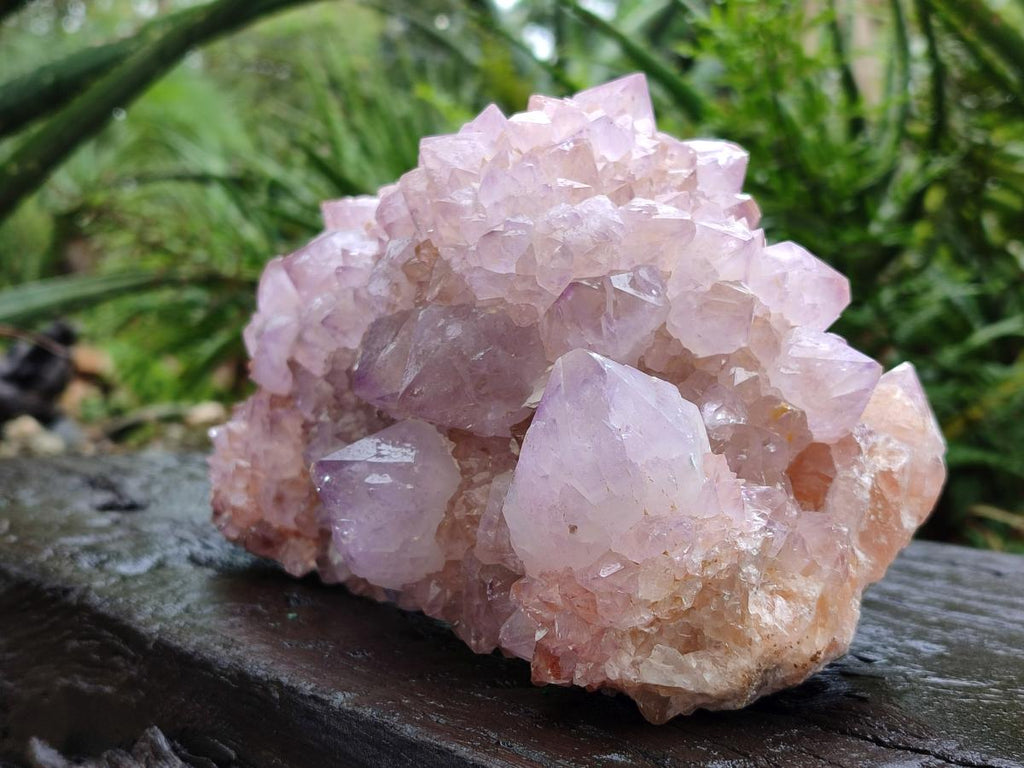 Natural XL Spirit Amethyst Crystal Cluster x 1 From Boekenhouthoek, South Africa - Toprock Gemstones and Minerals 