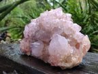 Natural XL Spirit Amethyst Crystal Cluster x 1 From Boekenhouthoek, South Africa - Toprock Gemstones and Minerals 