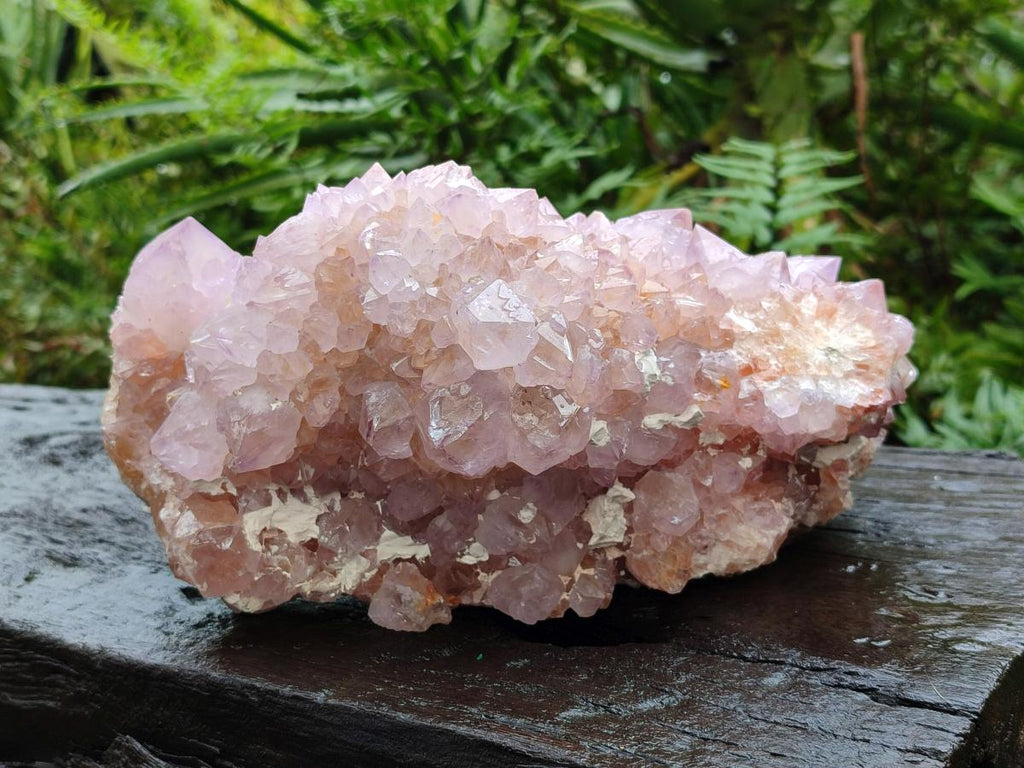 Natural XL Spirit Amethyst Crystal Cluster x 1 From Boekenhouthoek, South Africa - Toprock Gemstones and Minerals 