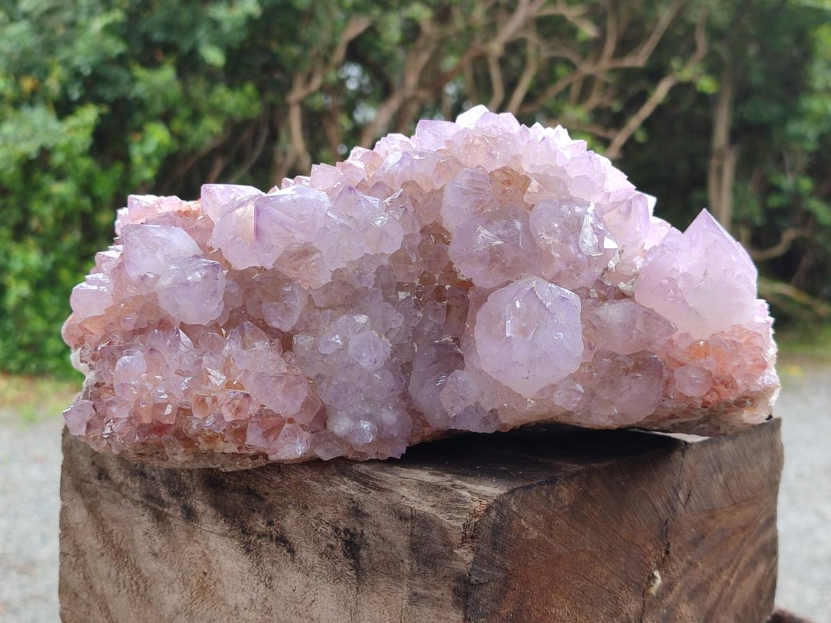 Natural XL Spirit Amethyst Crystal Cluster x 1 From Boekenhouthoek, South Africa - Toprock Gemstones and Minerals 