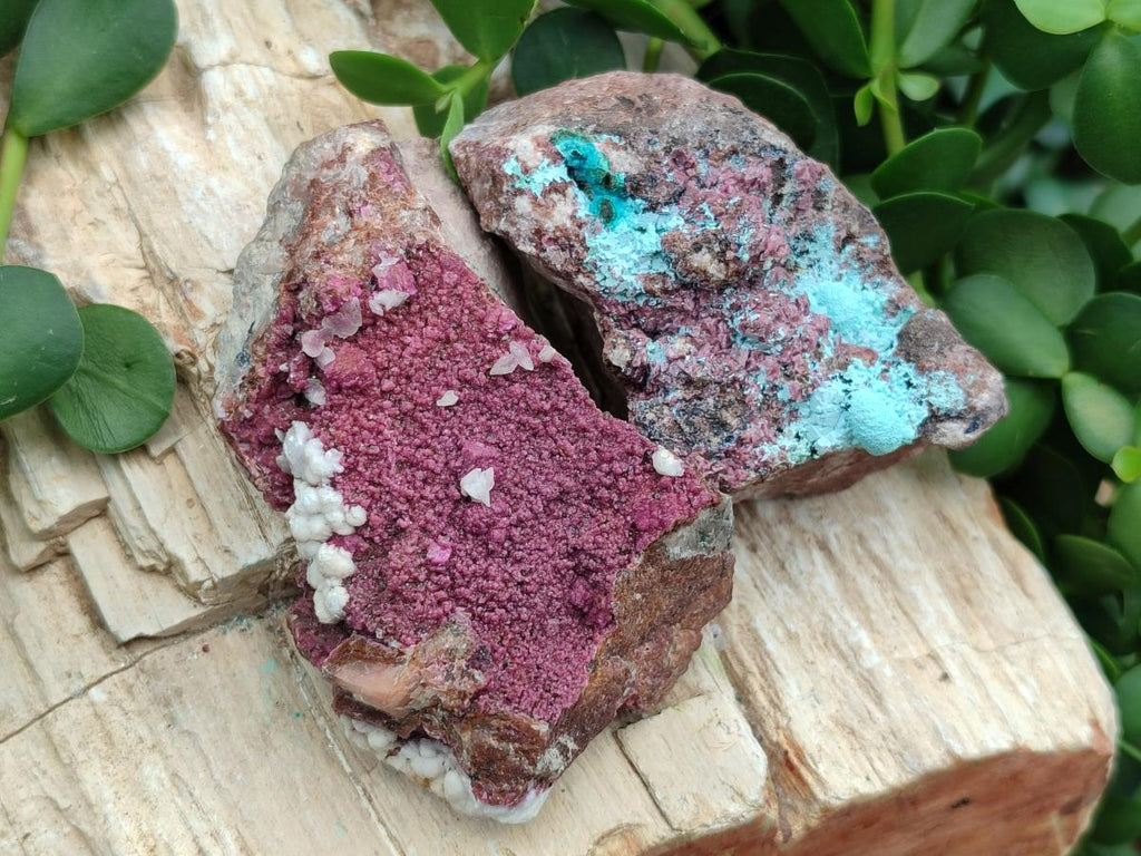 Natural Salrose Cobaltoan Dolomite Specimens with Various Inclusions x 12 From Kakanda, Congo - Toprock Gemstones and Minerals 