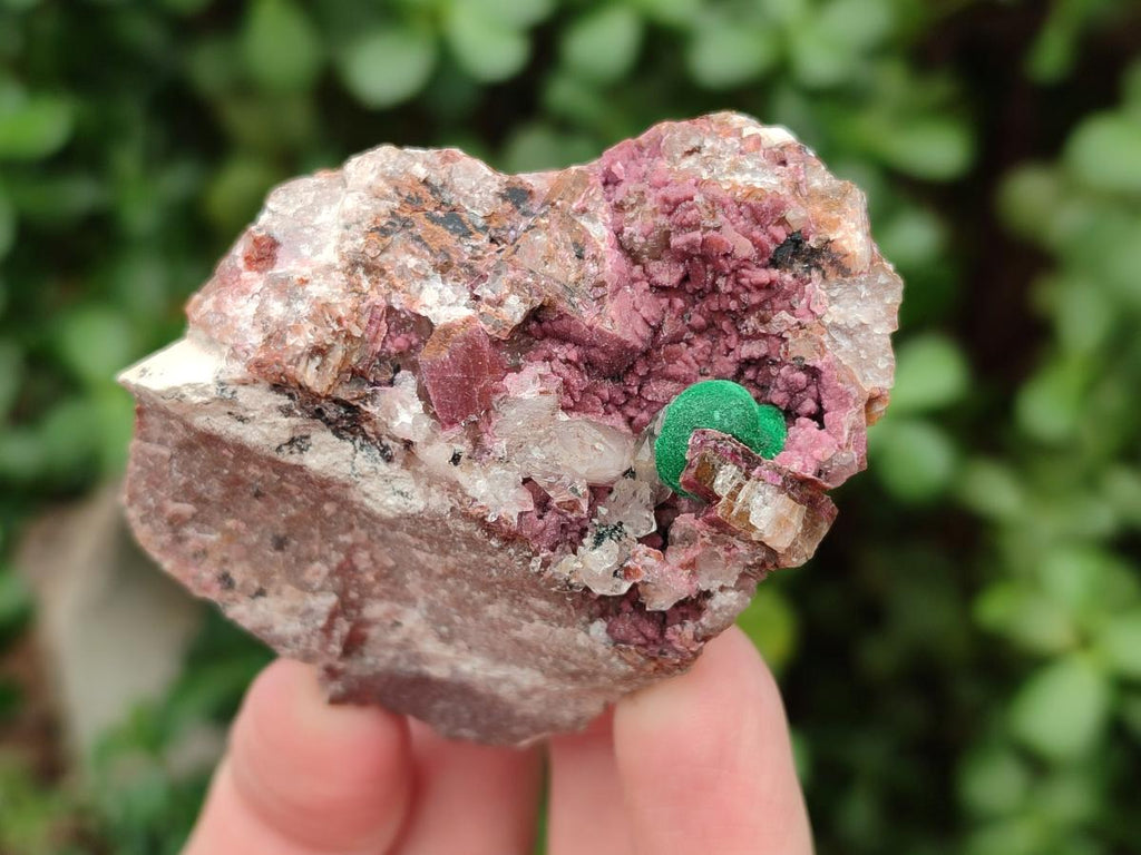Natural Salrose Cobaltoan Dolomite Specimens with Various Inclusions x 12 From Kakanda, Congo - Toprock Gemstones and Minerals 