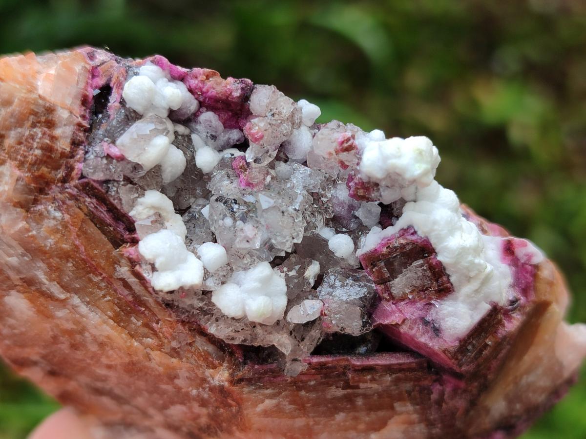 Natural Salrose Cobaltoan Dolomite Specimens with Various Inclusions x 12 From Kakanda, Congo - Toprock Gemstones and Minerals 