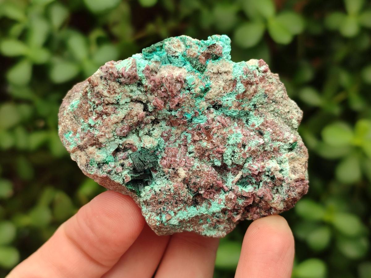 Natural Salrose Cobaltoan Dolomite Specimens with Various Inclusions x 12 From Kakanda, Congo - Toprock Gemstones and Minerals 