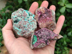 Natural Salrose Cobaltoan Dolomite Specimens with Various Inclusions x 12 From Kakanda, Congo - Toprock Gemstones and Minerals 