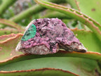Natural Salrose Cobaltoan Dolomite Specimens with Various Inclusions x 12 From Kakanda, Congo - Toprock Gemstones and Minerals 