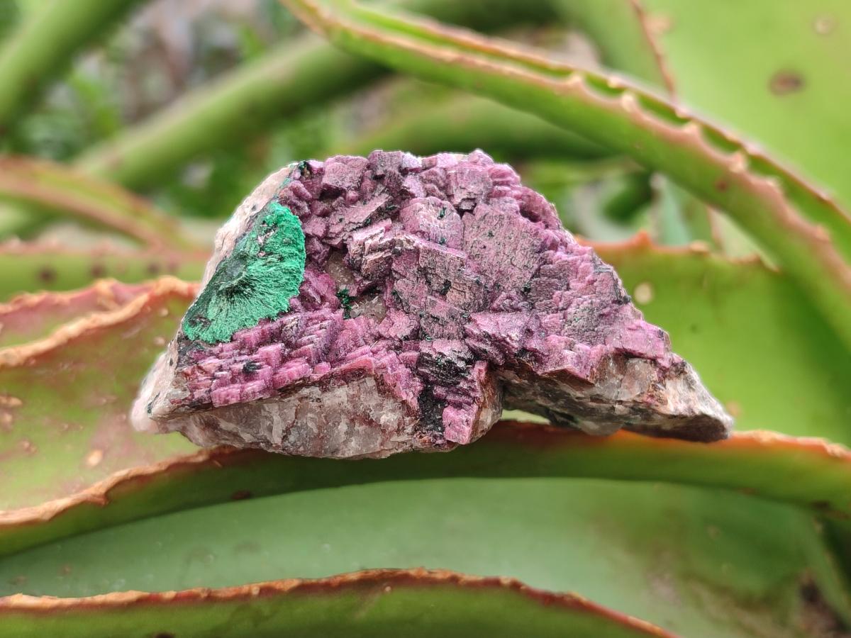Natural Salrose Cobaltoan Dolomite Specimens with Various Inclusions x 12 From Kakanda, Congo - Toprock Gemstones and Minerals 