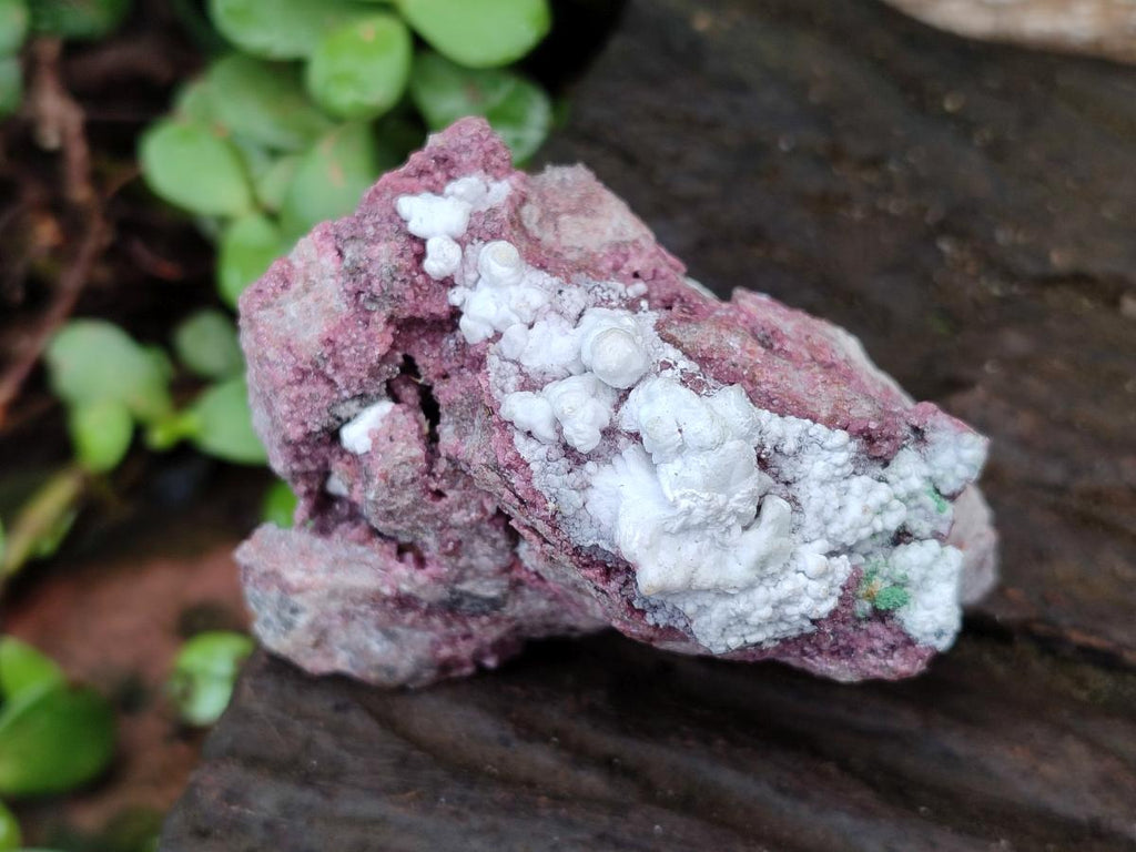 Natural Salrose Cobaltoan Dolomite Specimens with Various Inclusions x 12 From Kakanda, Congo - Toprock Gemstones and Minerals 