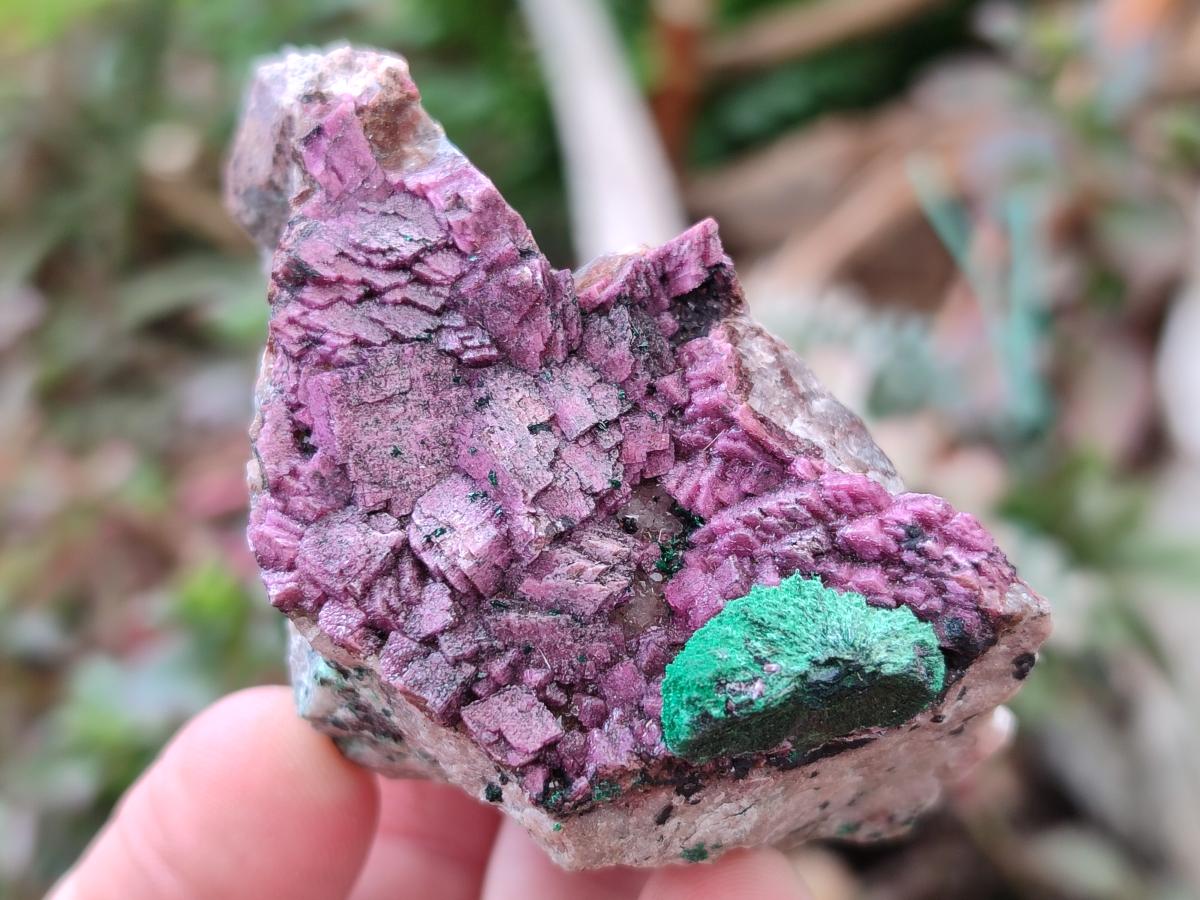 Natural Salrose Cobaltoan Dolomite Specimens with Various Inclusions x 12 From Kakanda, Congo - Toprock Gemstones and Minerals 