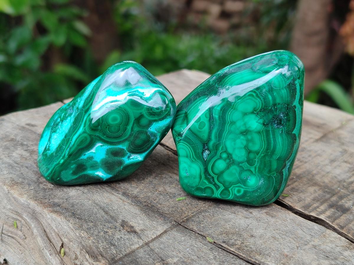 Polished Flower Banded Malachite Free Forms x 13 From Congo - Toprock Gemstones and Minerals 