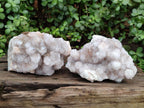 Natural White Spirit Quartz Clusters x 2 From Boekenhouthoek, South Africa - Toprock Gemstones and Minerals 