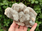 Natural White Spirit Quartz Clusters x 2 From Boekenhouthoek, South Africa - Toprock Gemstones and Minerals 