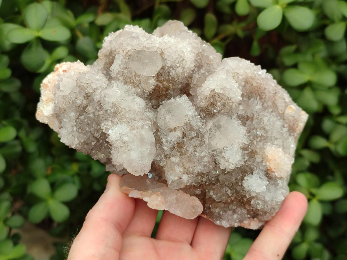 Natural White Spirit Quartz Clusters x 2 From Boekenhouthoek, South Africa - Toprock Gemstones and Minerals 
