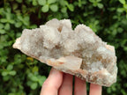 Natural White Spirit Quartz Clusters x 2 From Boekenhouthoek, South Africa - Toprock Gemstones and Minerals 