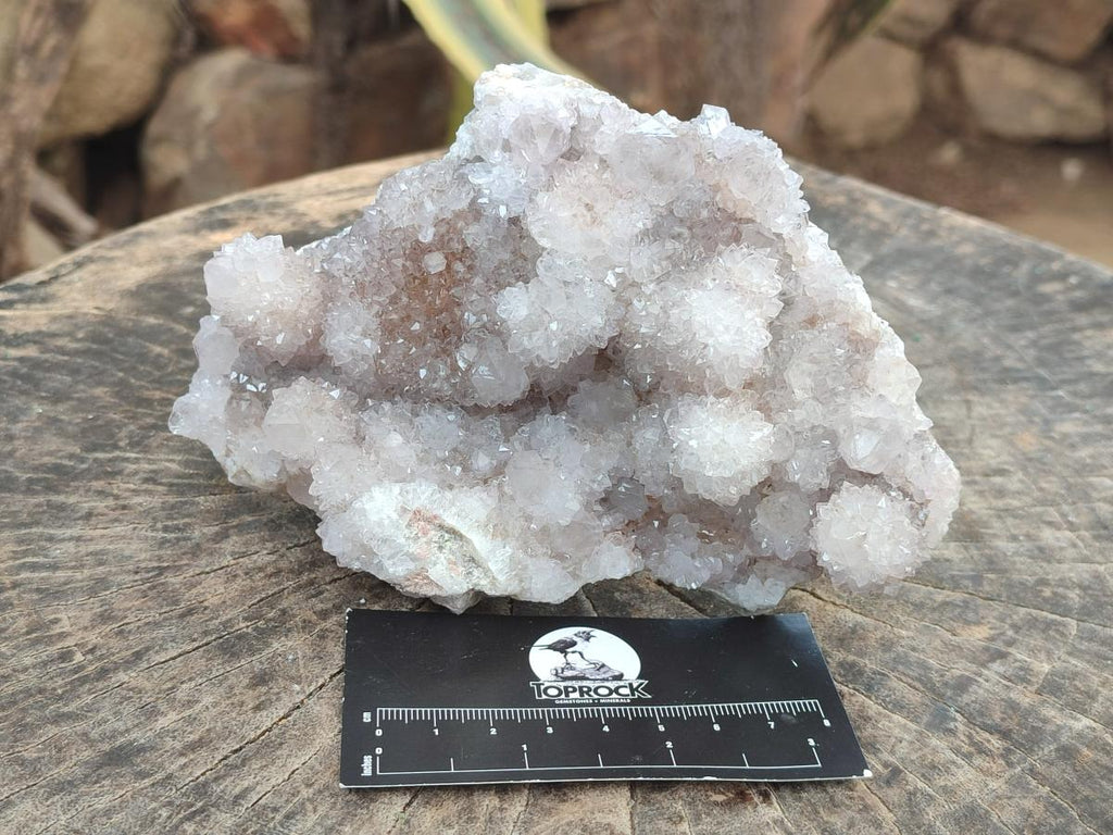 Natural White Spirit Quartz Clusters x 2 From Boekenhouthoek, South Africa - Toprock Gemstones and Minerals 