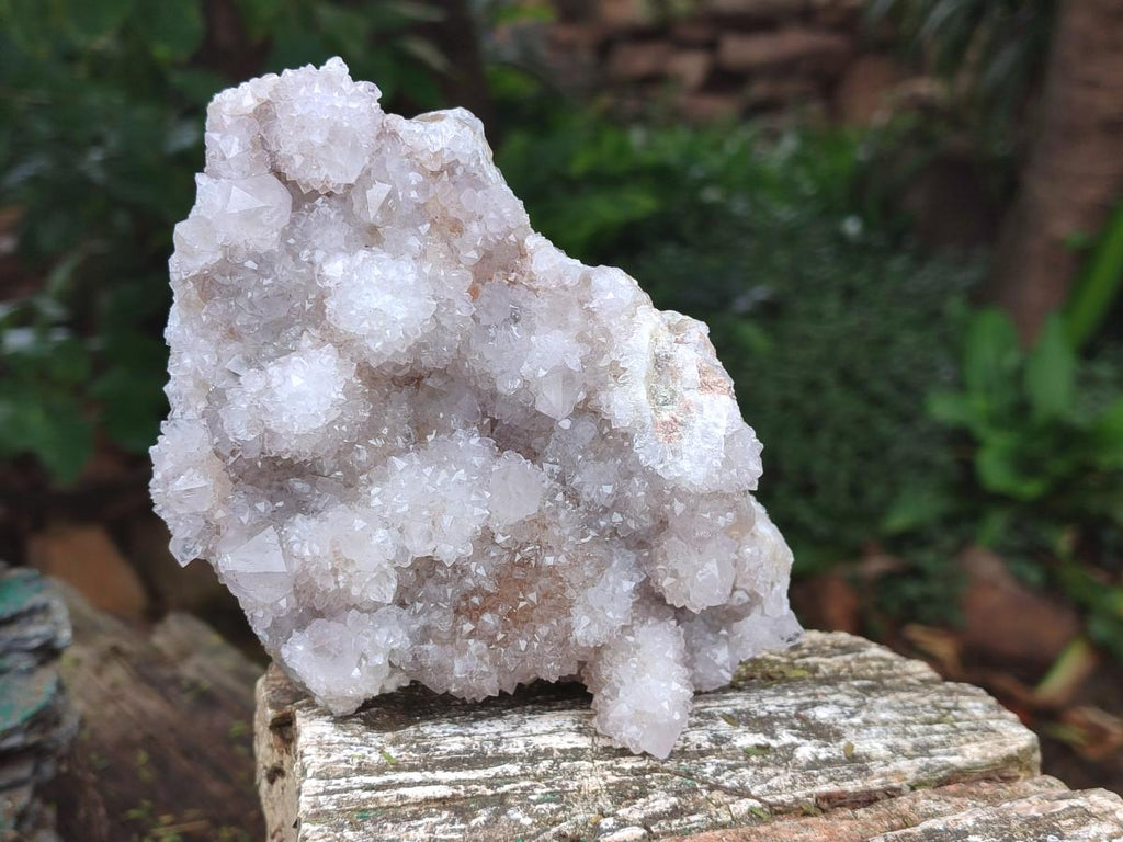 Natural White Spirit Quartz Clusters x 2 From Boekenhouthoek, South Africa - Toprock Gemstones and Minerals 