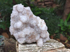 Natural White Spirit Quartz Clusters x 2 From Boekenhouthoek, South Africa - Toprock Gemstones and Minerals 