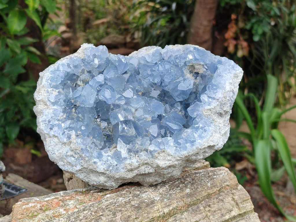 Natural Large Blue Celestite Geode Specimen x 1 From Sakoany, Madagascar - Toprock Gemstones and Minerals 
