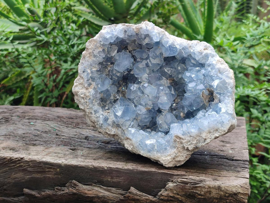 Natural Large Blue Celestite Geode Specimen x 1 From Sakoany, Madagascar - Toprock Gemstones and Minerals 